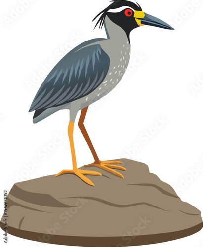 Yellow-crowned night heron with striking eye stripe, nocturnal bird, wetland bird, avian art
