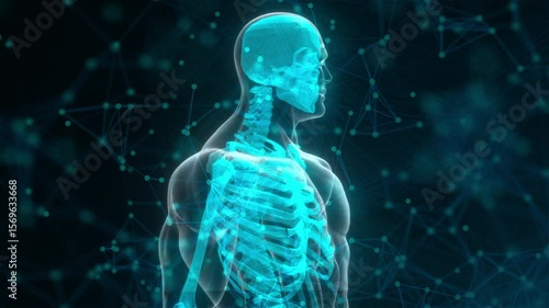 Human xray with connection dots. Computer generated 3d render
