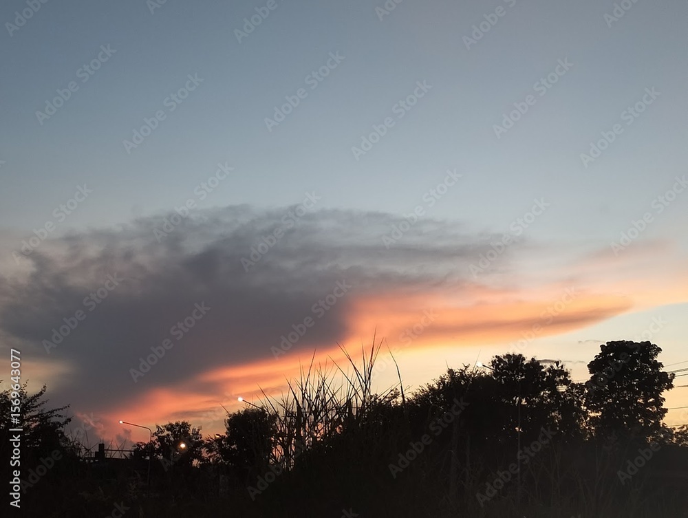 Fototapeta premium Dramatic Sunset Cloudscape with Flaming Orange Streaks and Silhouetted Trees