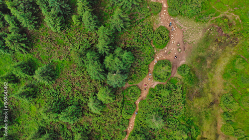Aerial view of a group of young hikers walking along a winding rocky forest path.