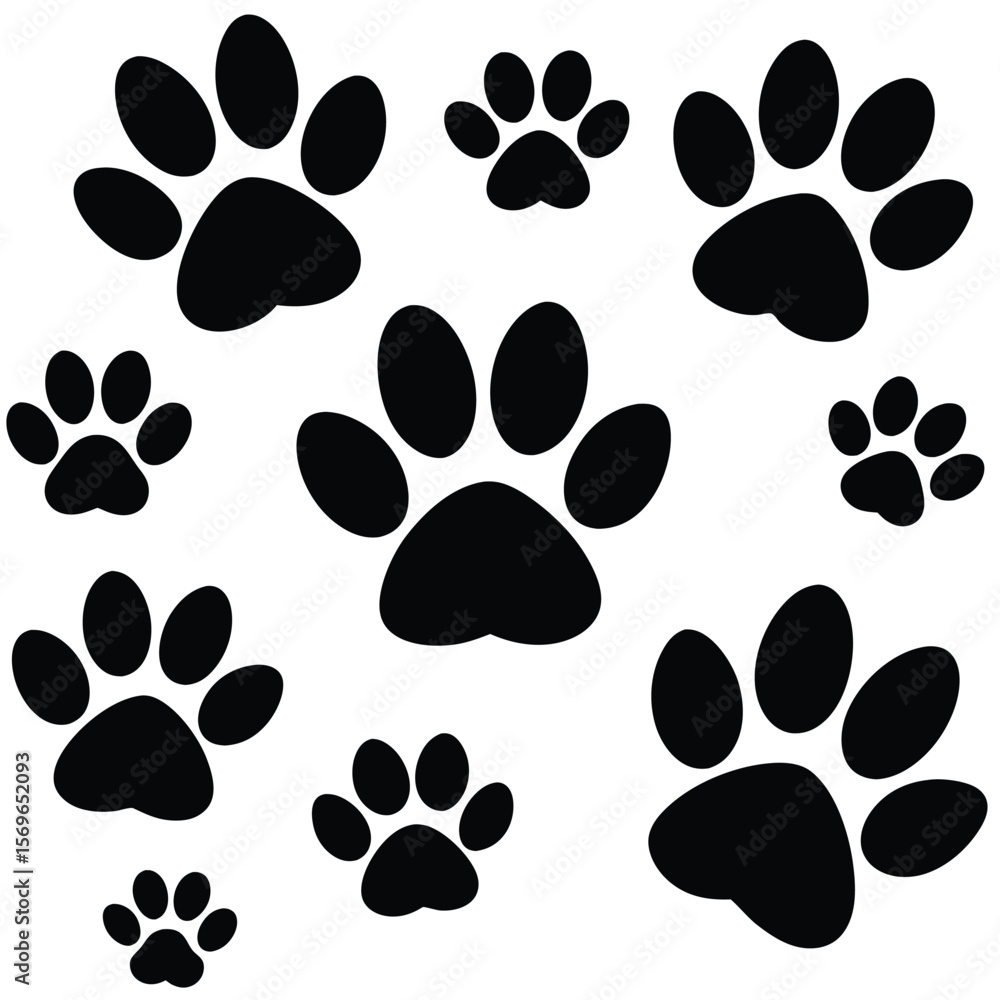 Fototapeta premium different animal paw prints