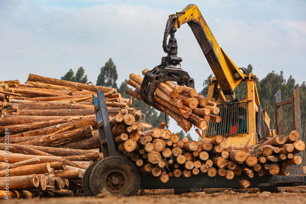 Obraz premium Mobile log grabber loading logs