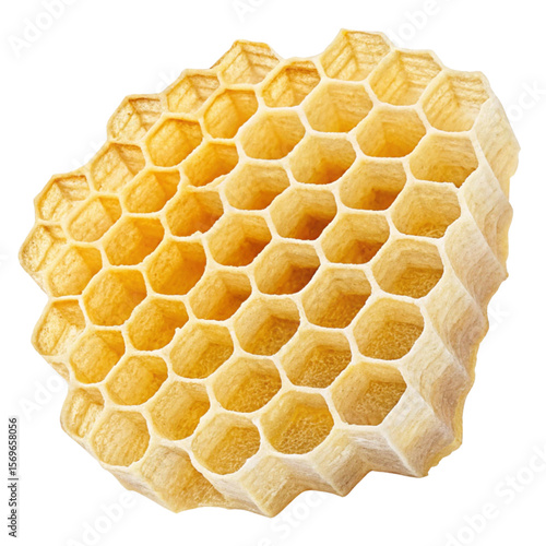 honeycomb on white background