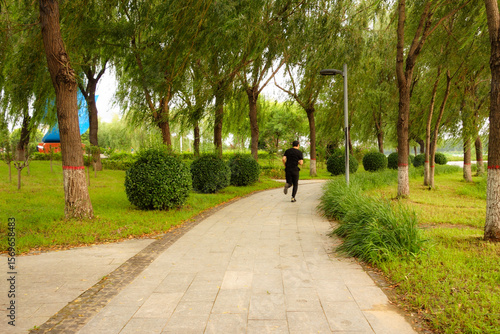 Wooden boardwalk, marble steps, asphalt road, and pedestrian walkway amidst vegetation