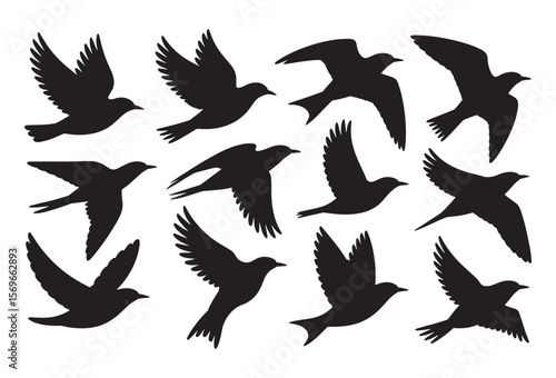 A collection of black bird silhouettes in various flying poses