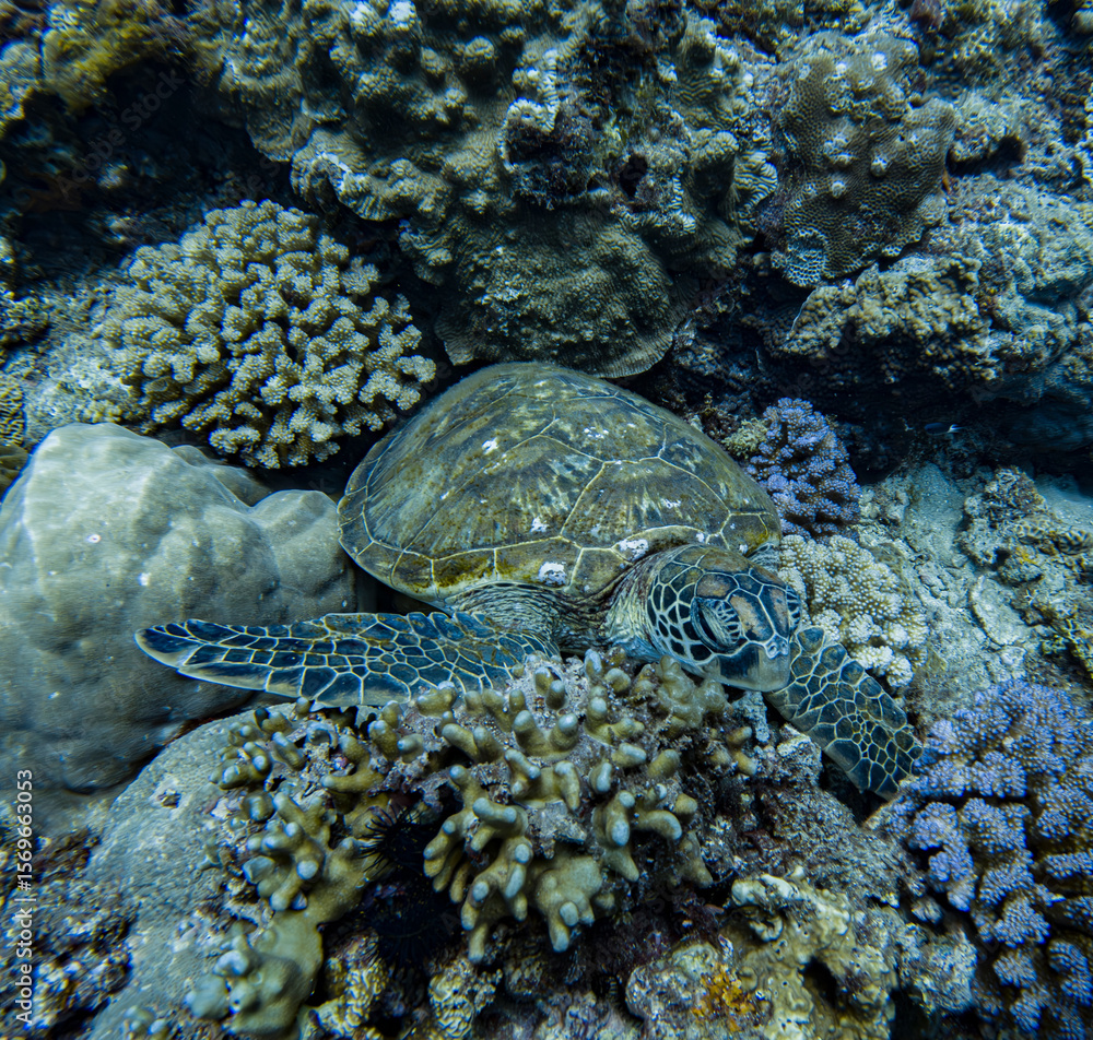 Fototapeta premium C:\DCIM\100GOPRO\GOPR0459.GPR