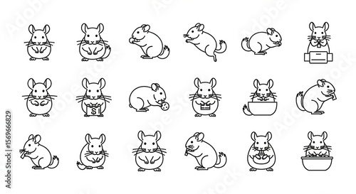Multiple outlined chinchilla character doing various activities are scattered across the image, set against a transparent backdrop