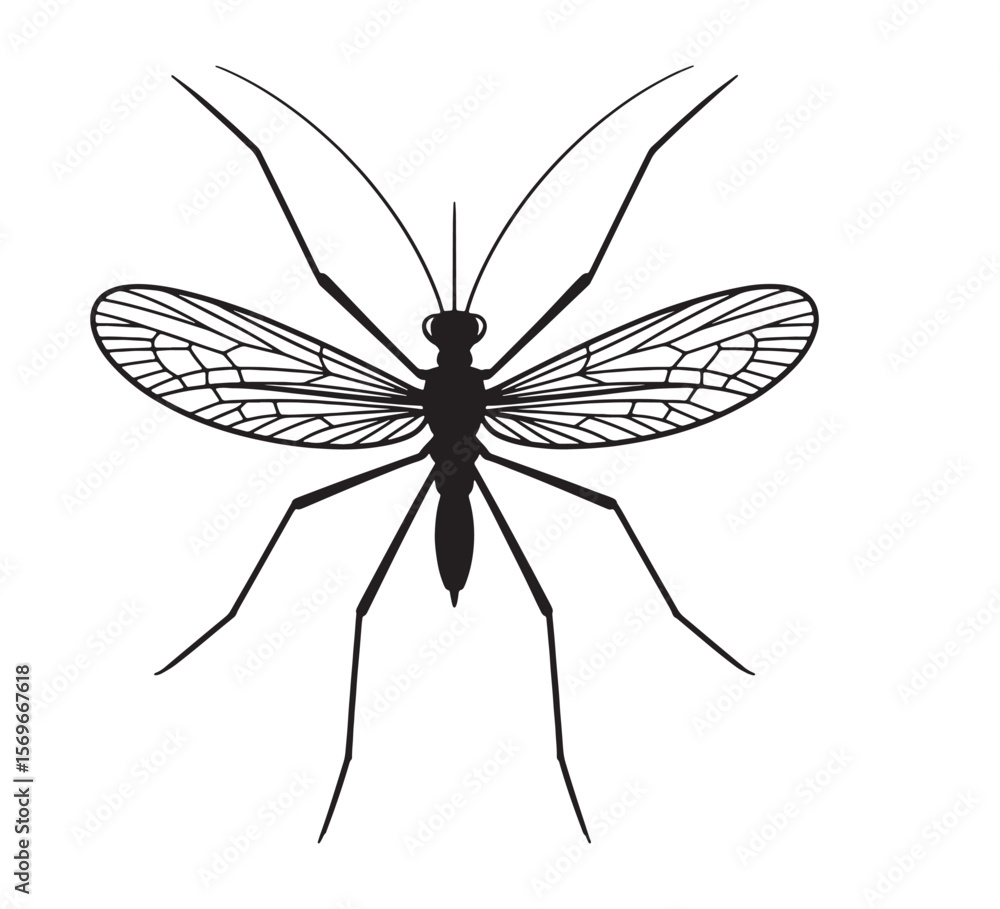 Fototapeta premium Detailed silhouette of a mosquito with intricate wing veins