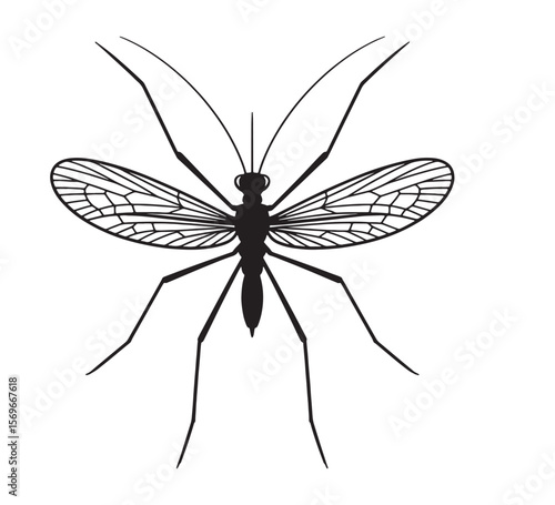 Detailed silhouette of a mosquito with intricate wing veins