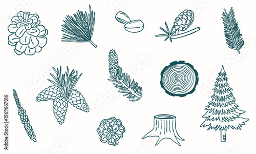 pine tree elements illustration doodle hand drawn sketch - leaf and corn