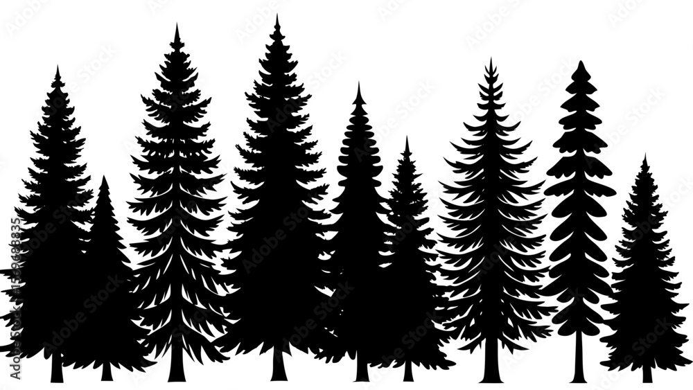 Fototapeta premium Pine Tree Forest Silhouette Illustration in Black and White Evergreen Trees in a Row silhouette