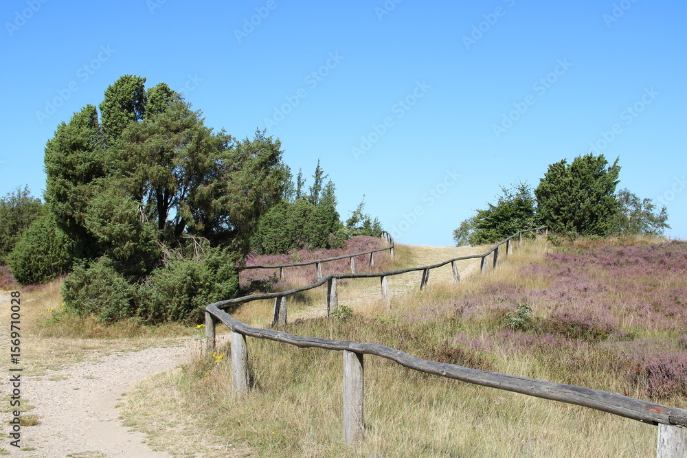 Wanderwege auf dem Wilseder Berg in der Lüneburger Heide Wanderwege auf dem Wilseder Berg in der Lüneburger Heide