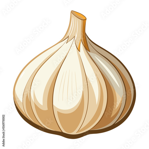 Farm Fresh Garlic Bulbs on Transparent Surface