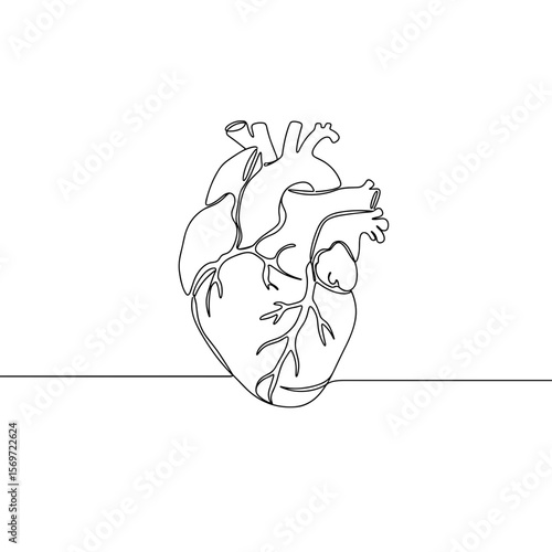 Abstract line art of a heart with visible arteries and veins  