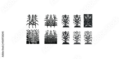 Print  Maize field cornfield vector silhouette clipart illustration with black and white