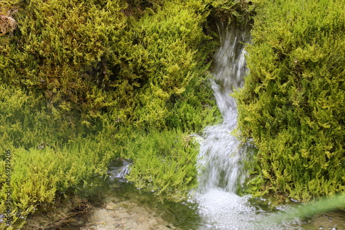 mini cascade