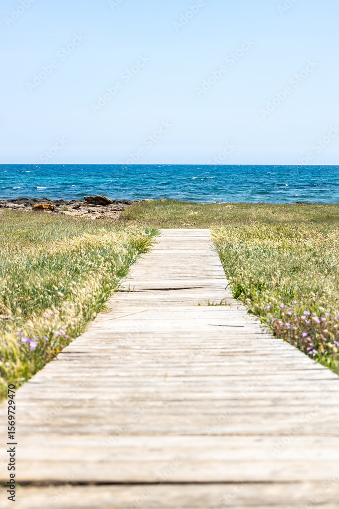 Fototapeta premium Wooden path to the beach. Rustic walkway leading to the seaside.