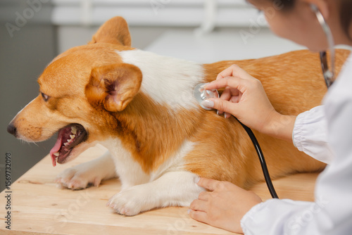 Smiling and friendly Asian female veterinarian examining dog with stethoscope and taking notes on clipboard in clinic. Veterinarian concept.