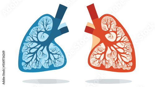Illustration of a Detailed Comparison Chart, Ideal for Presentations and Reports