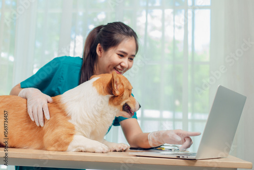 Asian veterinarian examines Corgi dog at clinic, using stethoscope and laptop and clipboard to record information for next appointment. Veterinarian concept.