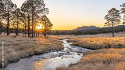 Peaceful stream in a quiet forest clearing, dappled with soft golden sunlight filtering through tree branches