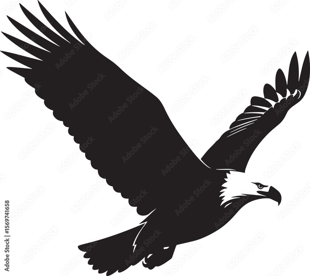 Obraz premium Black Silhouette Eagle in Flight Wings Spread bird