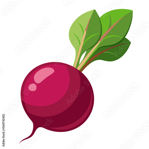 Gourmet Beet with Roots and Leaves on Transparent Background