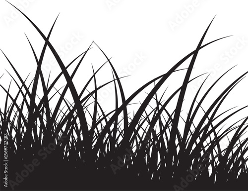 Black Silhouette Tall Grass Blades White Background