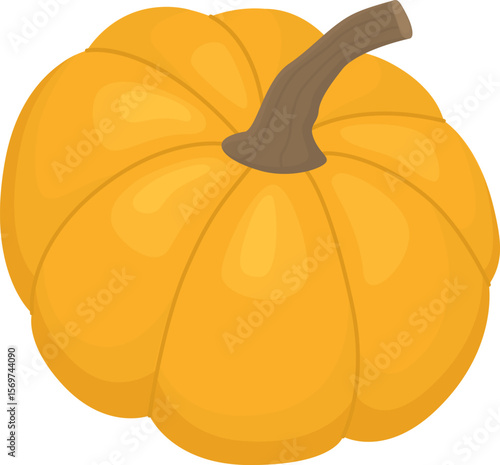 Cute orange pumpkin isolated on white background. Illustration of autumn vegetable