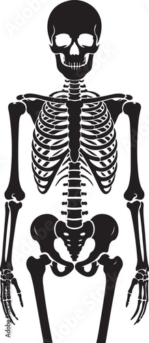 Skull and bones silhouette vector, Skull crossbones icon Clipart