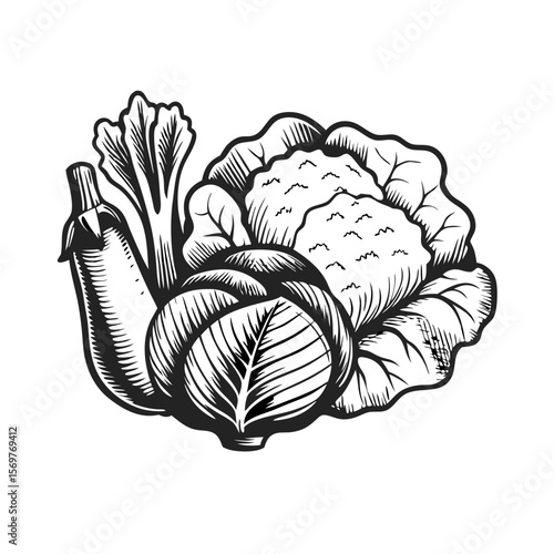 Handpicked vegetables in vintage engraving style showcase eggplant, cabbage, and cauliflower. Displaying handpicked vegetables, this vintage etching shows a fresh assortment of produce.