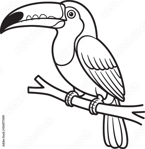 Toucan perched on a branch bird beak