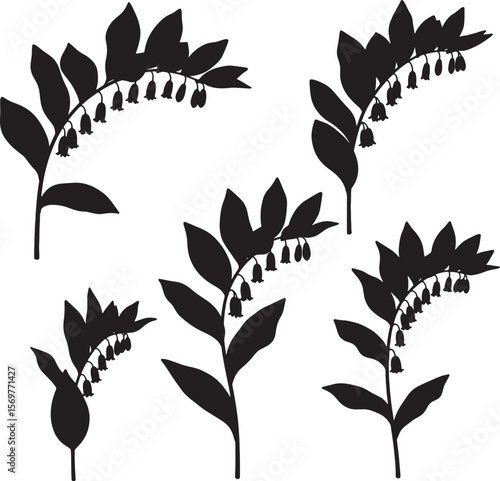 Collection of various Solomon's Seal plant silhouettes with distinctive hanging bell-shaped flowers and leaves, ideal for botanical illustrations, nature designs, and herbal themes with an organic fee