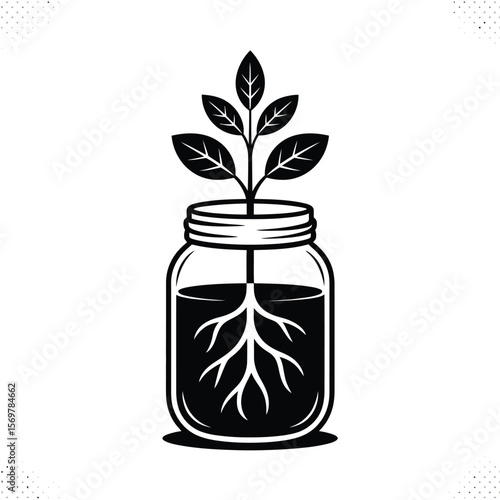Black and white illustration of a plant growing in a glass jar with visible roots