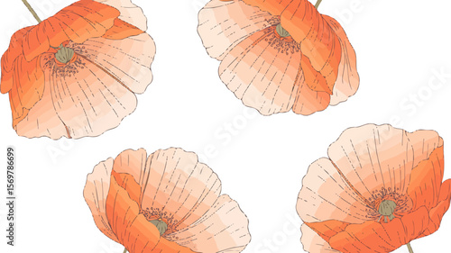 Pink poppy flowers and isolated poppy seed heads create a beautiful seamless floral pattern, illustrating the delicate art of nature's spring blossom design