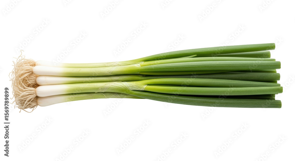 Isolated Fresh Spring Onions Isolated Fresh Spring Onions