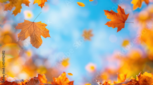 A beautiful autumn scene with leaves falling from trees