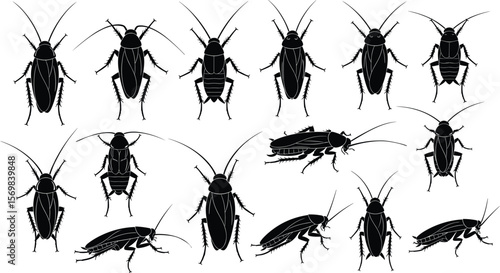 Cockroach silhouette vector illustration, pest insect clipart, isolated black design, creepy bugs collection, household pests, detailed cockroach shapes, infestation warning graphic element