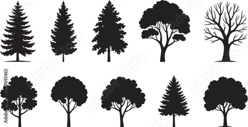 Tree Silhouette Vector Set – Black Trees Collection with Pine, Deciduous, and Leafless Designs for Nature and Landscape Projects