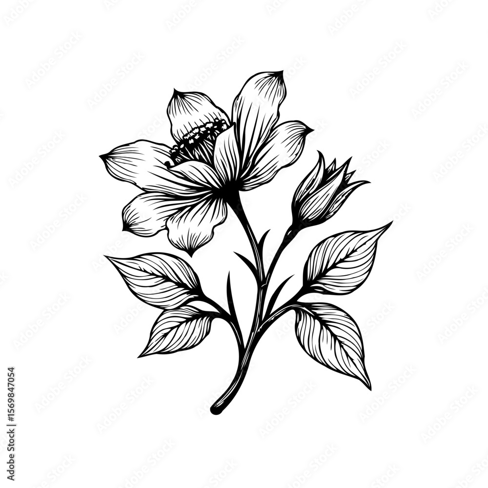 Obraz premium Elegant botanical illustration of a flowering branch with detailed leaves a beautiful and striking design