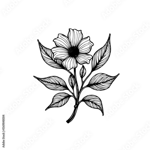 Detailed floral vector illustration depicting blooming flower with leaves for design or decoration purpose ideal for botanical illustration