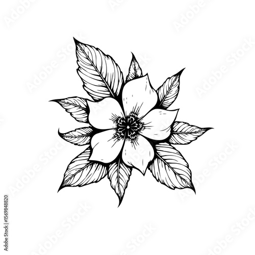 Elegant botanical drawing depicting a blossoming flower surrounded by leaves in intricate black and white illustration