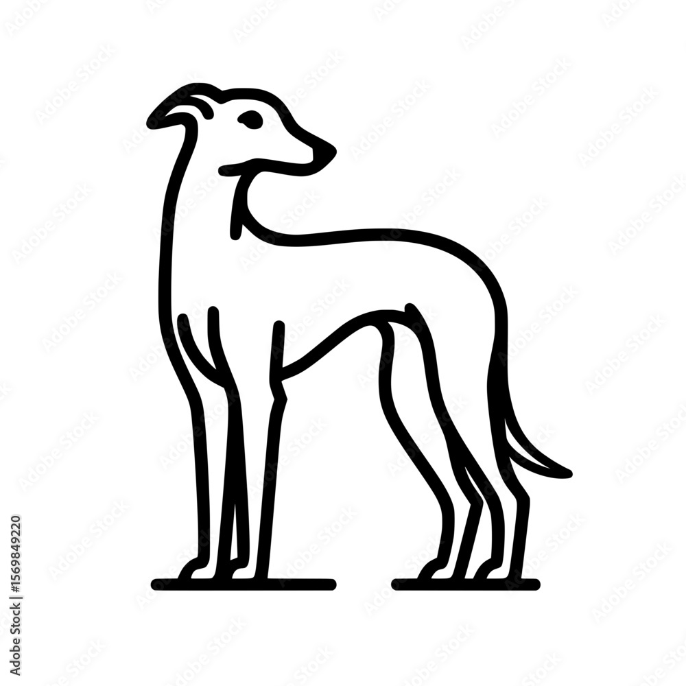 Obraz premium Dog standing outline illustration | Sighthound / Greyhound / Whippet / Italian Greyhound 