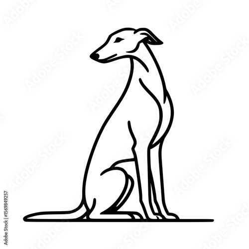 Dog sitting outline illustration | Sighthound / Greyhound / Whippet / Italian Greyhound 