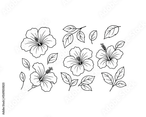 Hibiscus Outline - Linear Black and White Vector Flower Illustration - Minimalist Floral Drawing for Design Elements and Isolated Botanical Artwork
