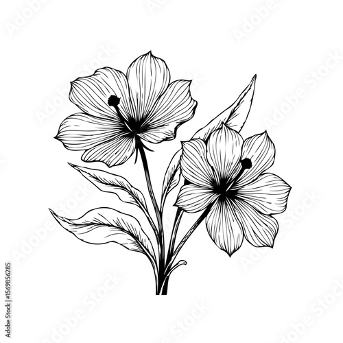 Elegant floral design featuring delicate hibiscus flower line art for botanical beauty and artistic projects