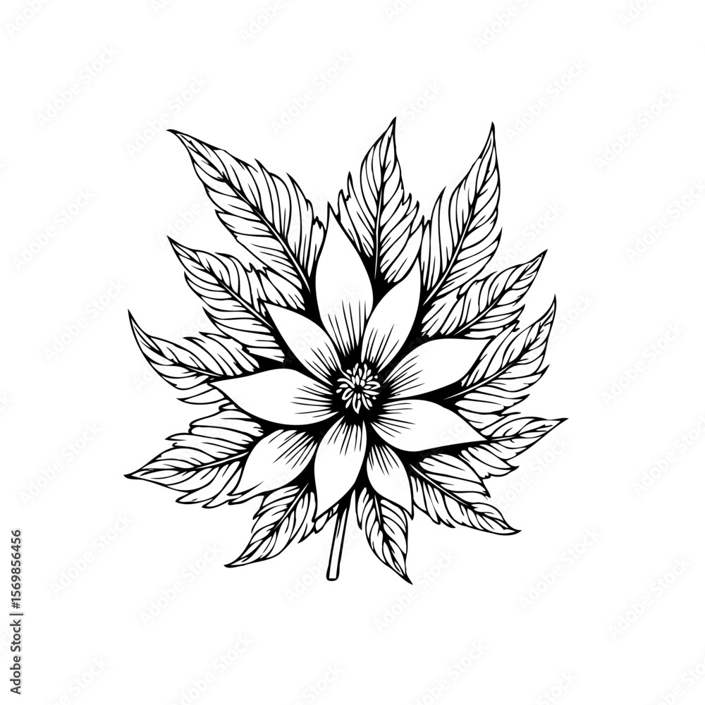 Fototapeta premium Detailed botanical illustration showcasing a stylized flower with intricate leaf patterns artistic monochrome elegance presented on white background