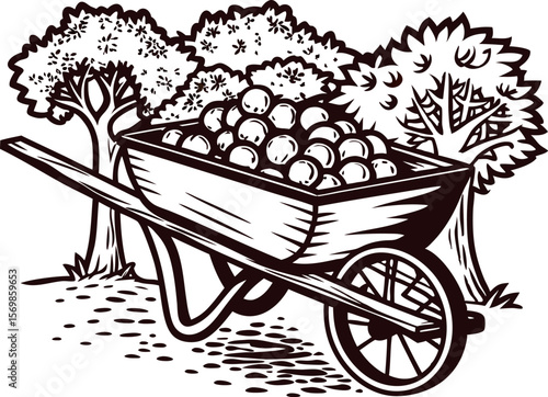 Vintage illustration of a wooden wheelbarrow filled with apples under trees in a garden orchard scene