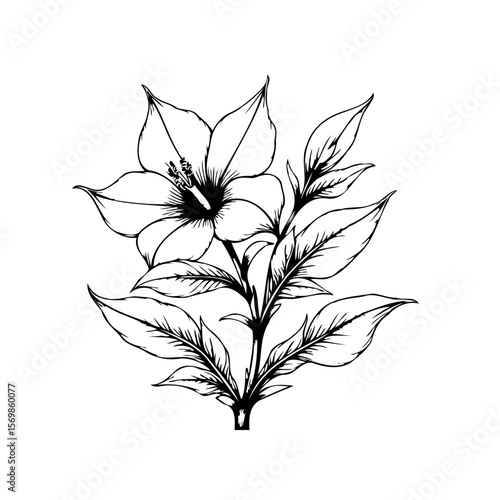 Elegant botanical illustration showcasing a flowering plant design with detailed leaves and petals in minimalist black line art style