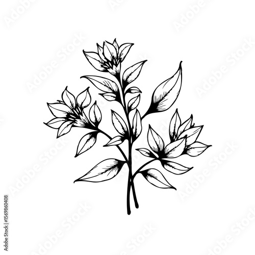 Elegant floral illustration with delicate flowers leaves and stems creating a nature inspired composition
